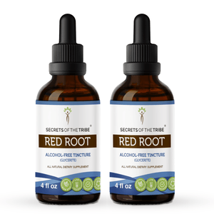 Secrets Of The Tribe Red Root Tincture buy online 