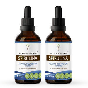 Secrets Of The Tribe Spirulina Tincture buy online 