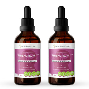 Secrets Of The Tribe Tribal Recall. Focus/Memory Support buy online 