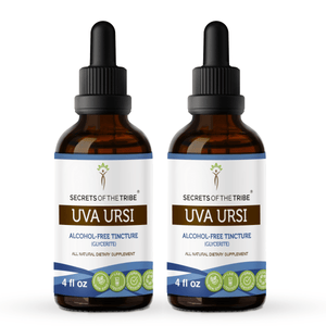 Secrets Of The Tribe Uva Ursi Tincture buy online 