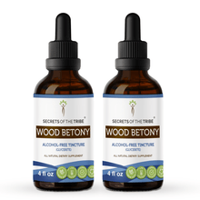 Load image into Gallery viewer, Secrets Of The Tribe Wood Betony Tincture buy online 