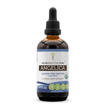 Load image into Gallery viewer, Secrets Of The Tribe Angelica Tincture buy online 