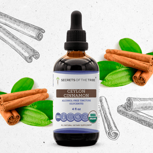 Secrets Of The Tribe Ceylon Cinnamon Tincture buy online 