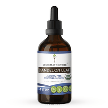 Load image into Gallery viewer, Secrets Of The Tribe Dandelion Leaf Tincture buy online 