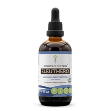 Load image into Gallery viewer, Secrets Of The Tribe Eleuthero Tincture buy online 