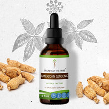 Load image into Gallery viewer, Secrets Of The Tribe American Ginseng Tincture buy online 