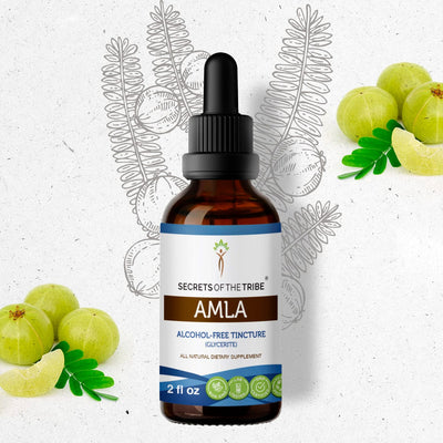 Buy Amla Tincture online - Secrets Of The Tribe