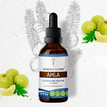 Load image into Gallery viewer, Secrets Of The Tribe Amla Tincture buy online 