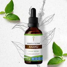 Load image into Gallery viewer, Secrets Of The Tribe Anamu Tincture buy online 