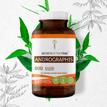 Load image into Gallery viewer, Secrets Of The Tribe Andrographis Capsules buy online 
