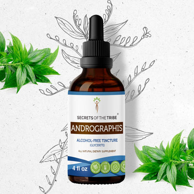 Andrographis Tincture Secrets Of The Tribe Tincture Secrets Of The Tribe