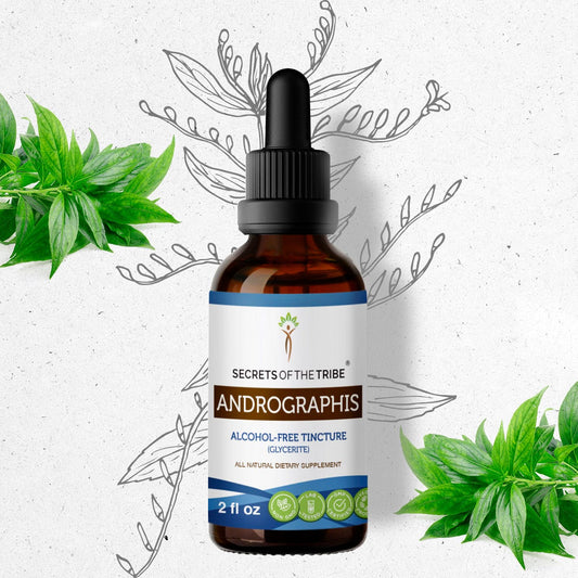 Secrets Of The Tribe Andrographis Tincture buy online 