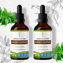 Load image into Gallery viewer, Secrets Of The Tribe Andrographis Tincture buy online 