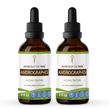 Load image into Gallery viewer, Secrets Of The Tribe Andrographis Tincture buy online 