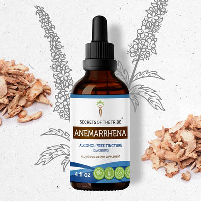 Secrets Of The Tribe Anemarrhena Tincture buy online