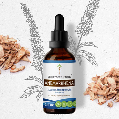 Secrets Of The Tribe Anemarrhena Tincture buy online