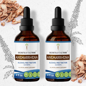 Secrets Of The Tribe Anemarrhena Tincture buy online 