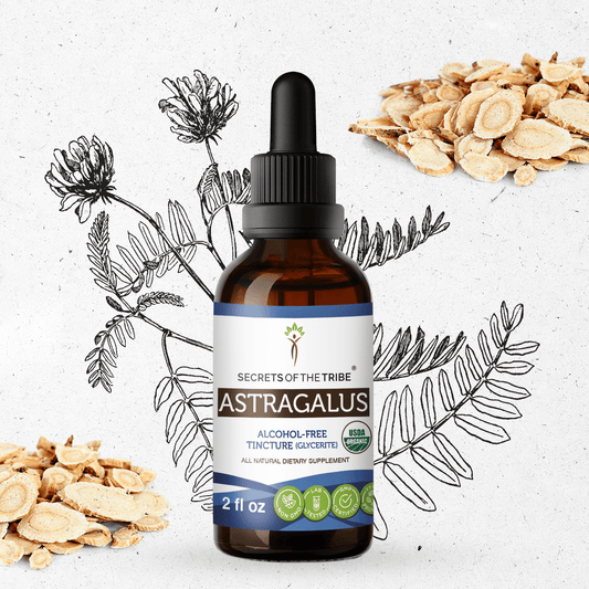 Secrets Of The Tribe Astragalus Tincture buy online 