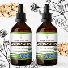 Load image into Gallery viewer, Secrets Of The Tribe Astragalus Tincture buy online 