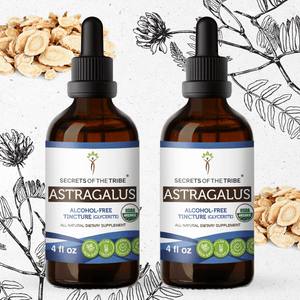 Secrets Of The Tribe Astragalus Tincture buy online 