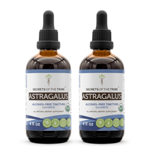 Load image into Gallery viewer, Secrets Of The Tribe Astragalus Tincture buy online 