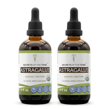 Load image into Gallery viewer, Secrets Of The Tribe Astragalus Tincture buy online 