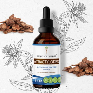 Secrets Of The Tribe Atractylodes Tincture buy online 