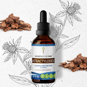 Secrets Of The Tribe Atractylodes Tincture buy online 