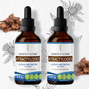 Secrets Of The Tribe Atractylodes Tincture buy online 