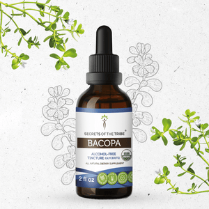 Secrets Of The Tribe Bacopa Tincture buy online 