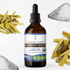 Secrets Of The Tribe Barberry Root Tincture buy online 