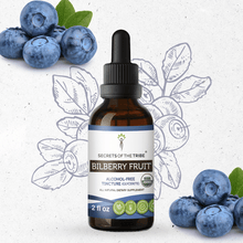 Load image into Gallery viewer, Secrets Of The Tribe Bilberry Fruit Tincture buy online 