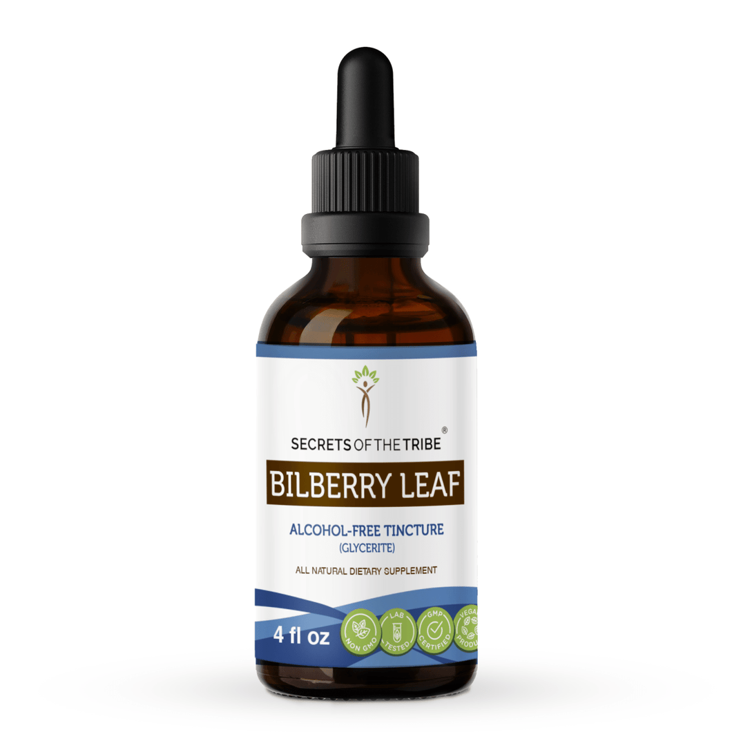 Secrets Of The Tribe Bilberry leaf Tincture buy online 