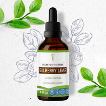 Load image into Gallery viewer, Secrets Of The Tribe Bilberry leaf Tincture buy online 