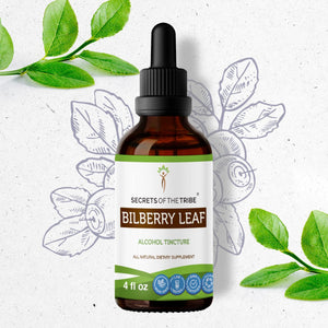 Secrets Of The Tribe Bilberry leaf Tincture buy online 