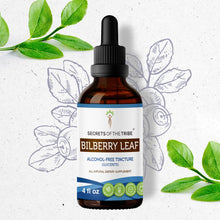 Load image into Gallery viewer, Secrets Of The Tribe Bilberry leaf Tincture buy online 