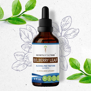 Secrets Of The Tribe Bilberry leaf Tincture buy online 