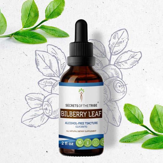 Secrets Of The Tribe Bilberry leaf Tincture buy online 