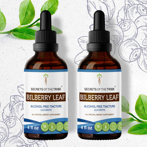 Secrets Of The Tribe Bilberry Leaf Tincture buy online 