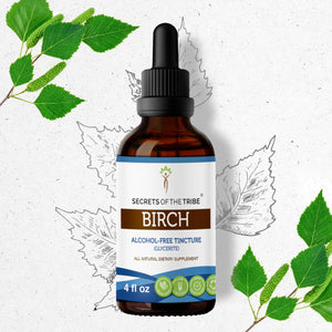 Secrets Of The Tribe Birch Tincture buy online 