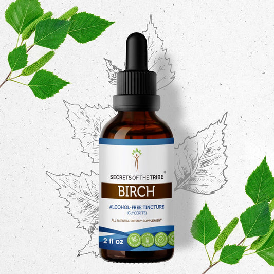 Secrets Of The Tribe Birch Tincture buy online 