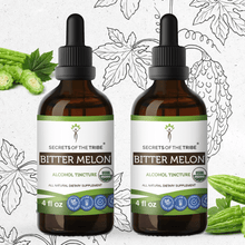 Load image into Gallery viewer, Secrets Of The Tribe Bitter Melon Tincture buy online 