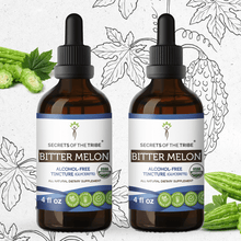 Load image into Gallery viewer, Secrets Of The Tribe Bitter Melon Tincture buy online 