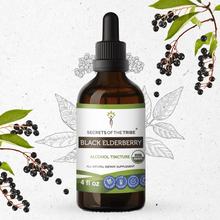 Load image into Gallery viewer, Secrets Of The Tribe Black Elderberry Tincture buy online 