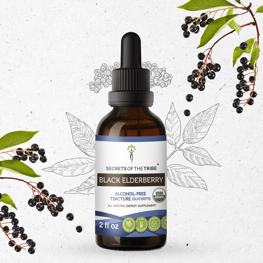 Secrets Of The Tribe Black Elderberry Tincture buy online 