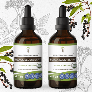 Secrets Of The Tribe Black Elderberry Tincture buy online 