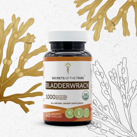 Secrets Of The Tribe Bladderwrack Capsules buy online 