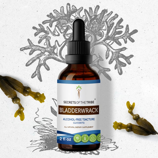 Secrets Of The Tribe Bladderwrack Tincture buy online 