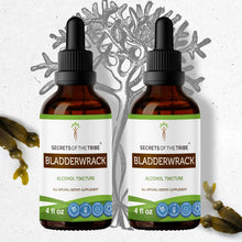 Load image into Gallery viewer, Secrets Of The Tribe Bladderwrack Tincture buy online 