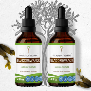 Secrets Of The Tribe Bladderwrack Tincture buy online 